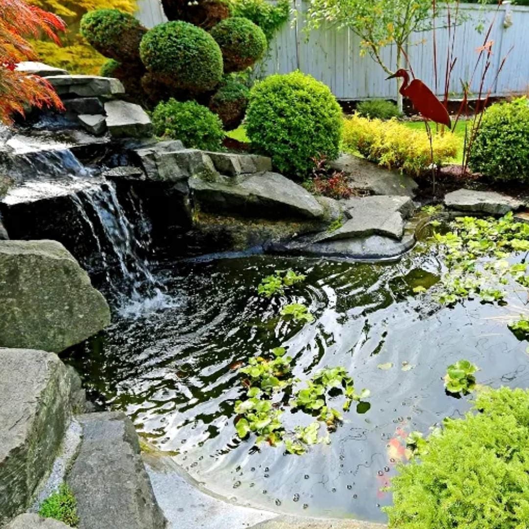Water Features and Ponds